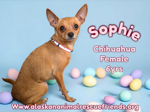 Sophie