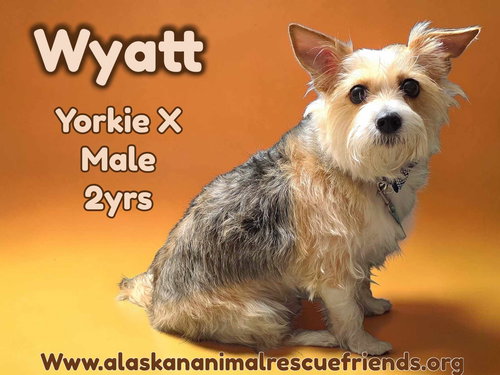 Wyatt