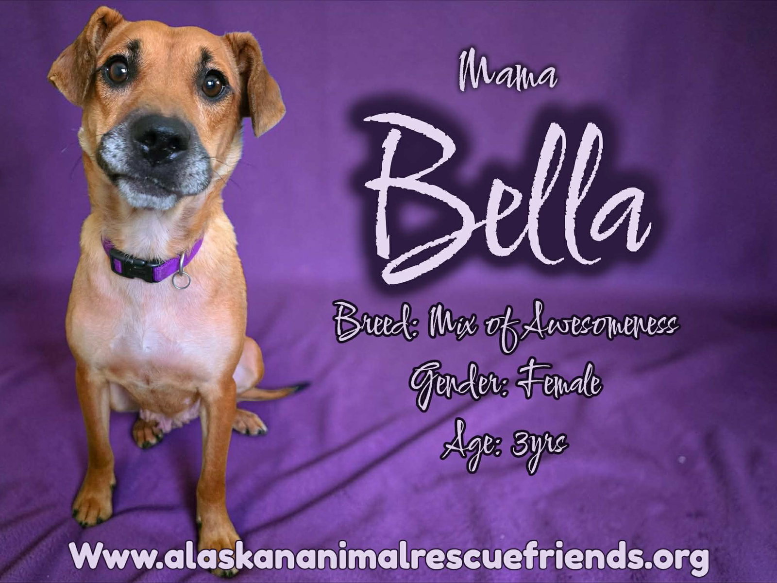 Bella