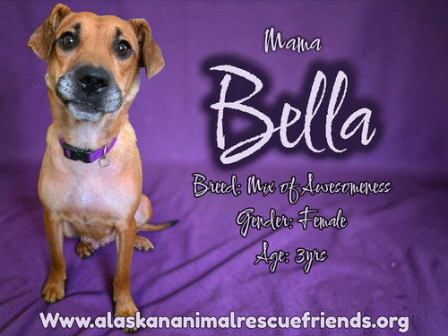 Bella