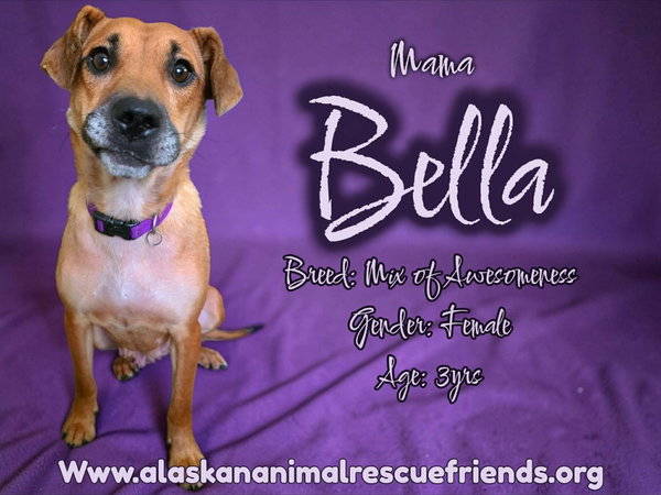 Bella