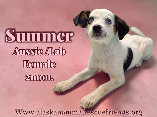 Summer
