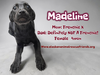 Madeline - Photo 1