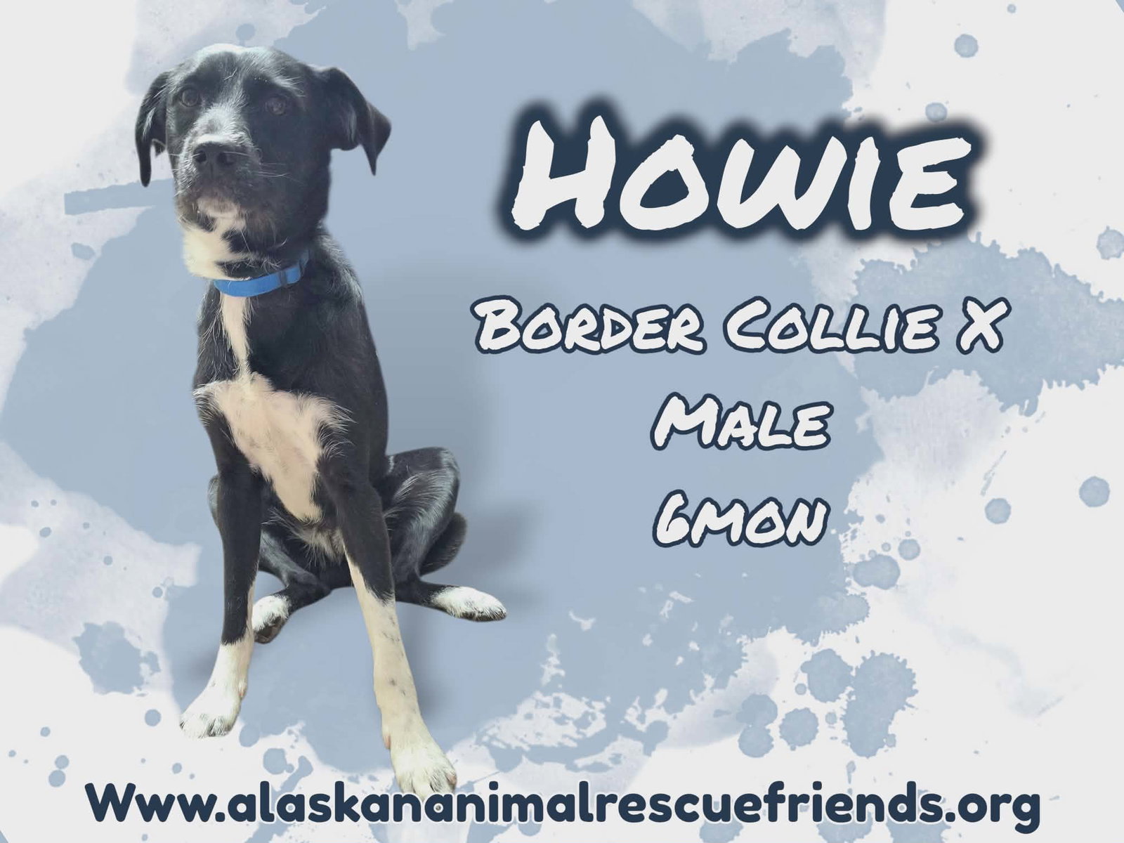 Howie