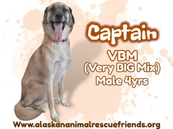 Captain