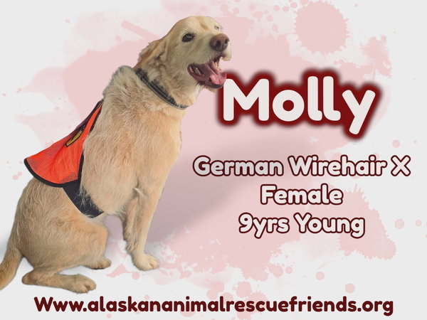 Molly