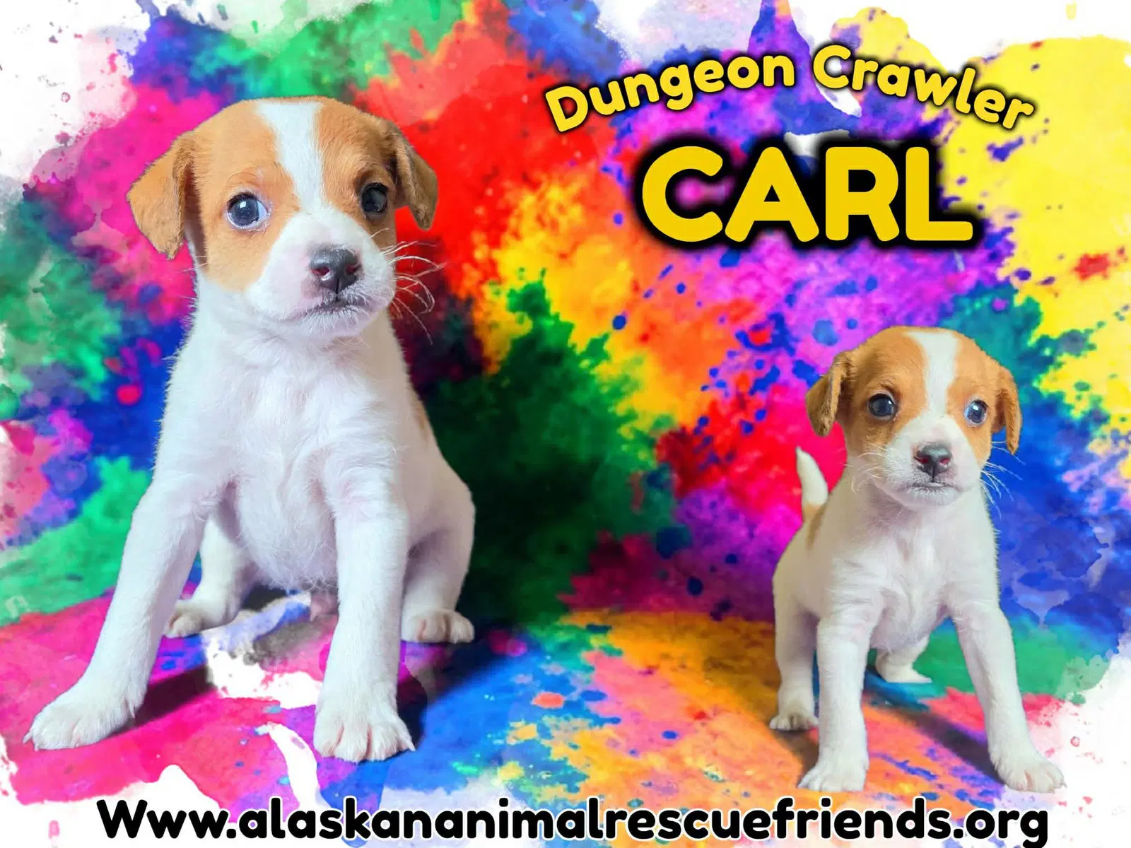 Carl image 2
