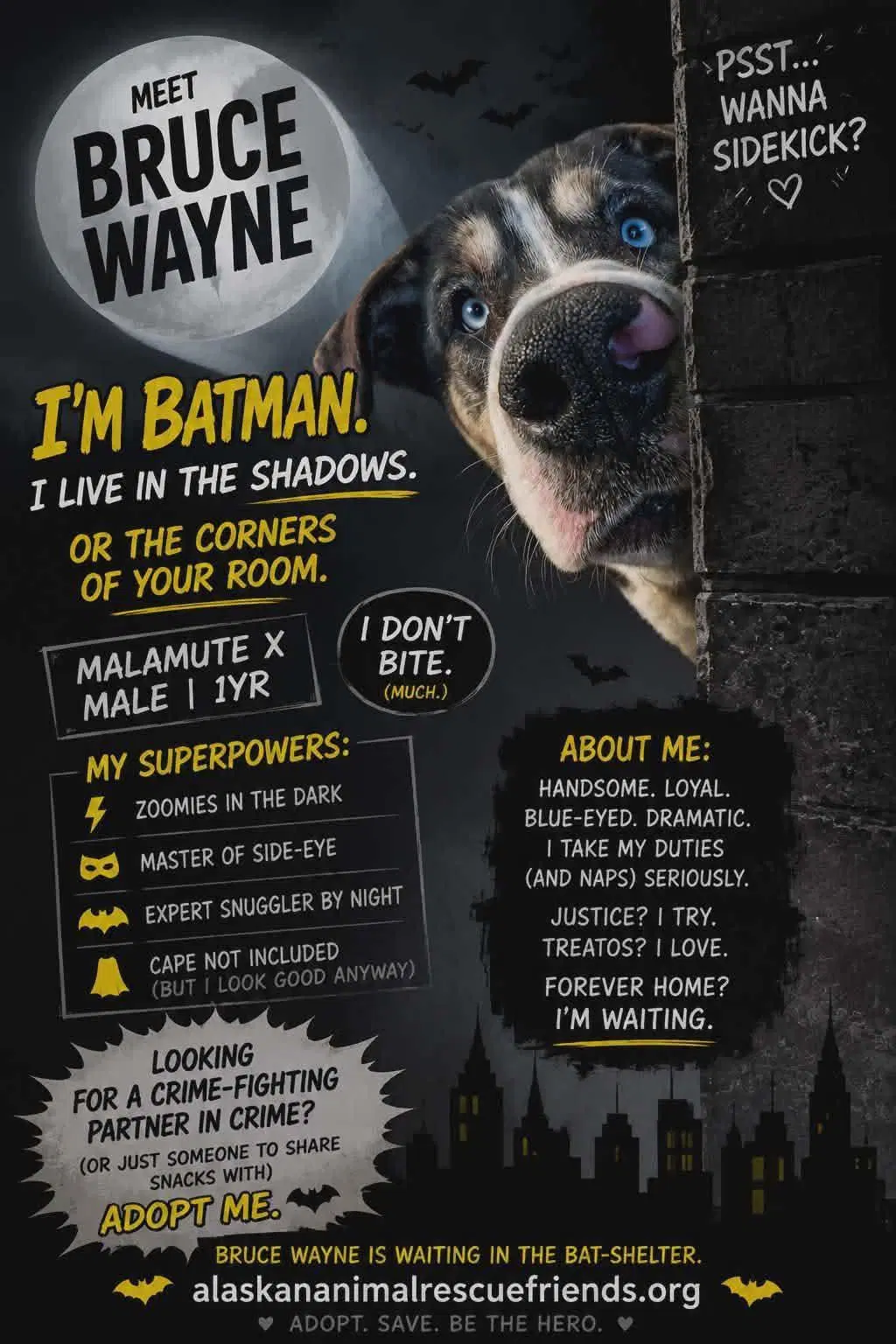 Bruce image 2
