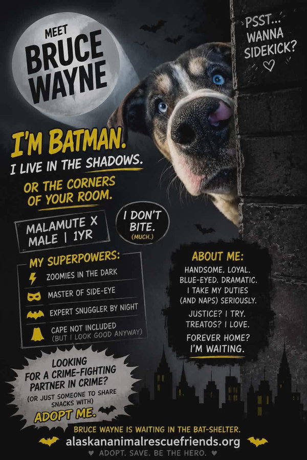 Bruce