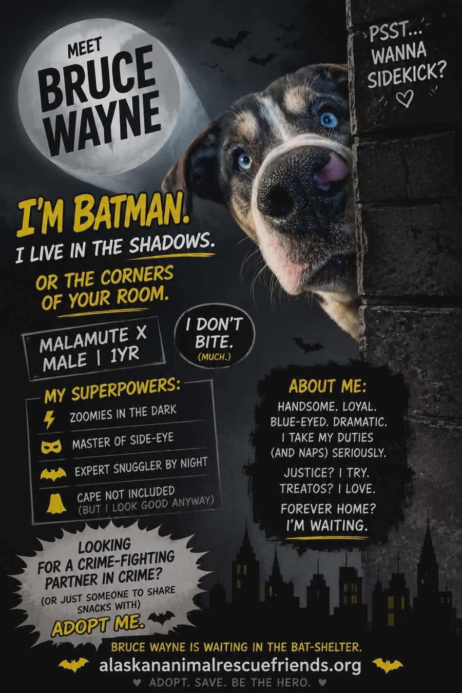 Bruce