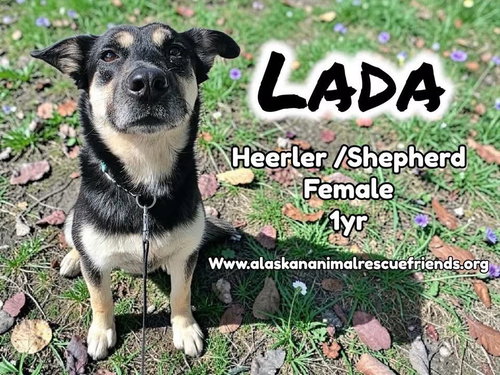 Lada