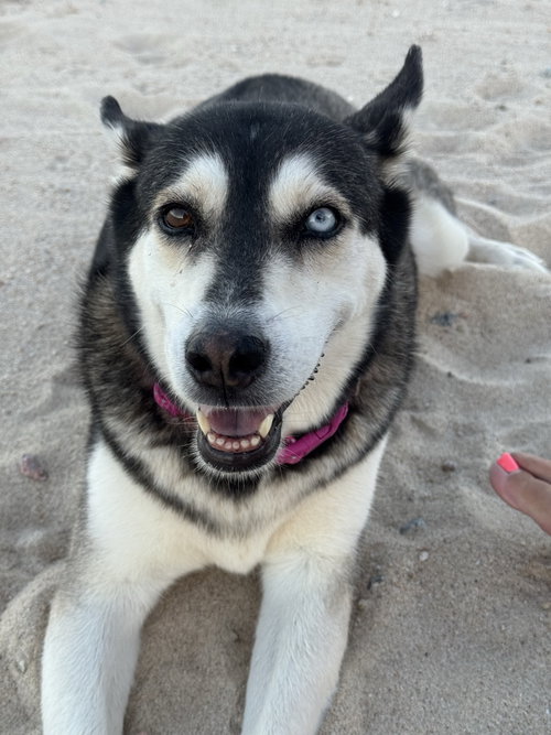 Skye La Paz photo 2