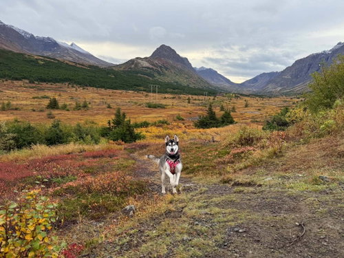 Photo 2 of Skye