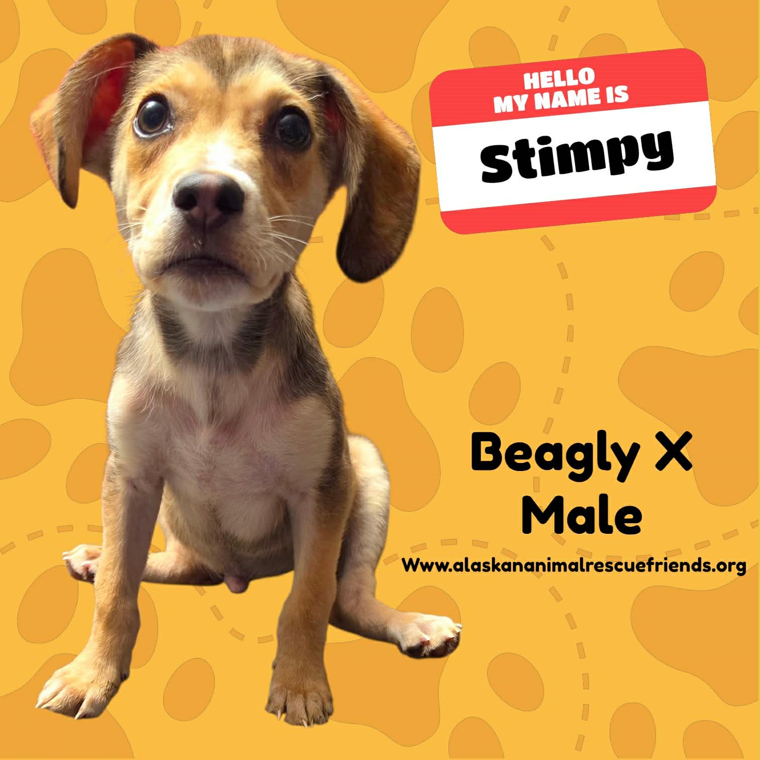 Stimpy