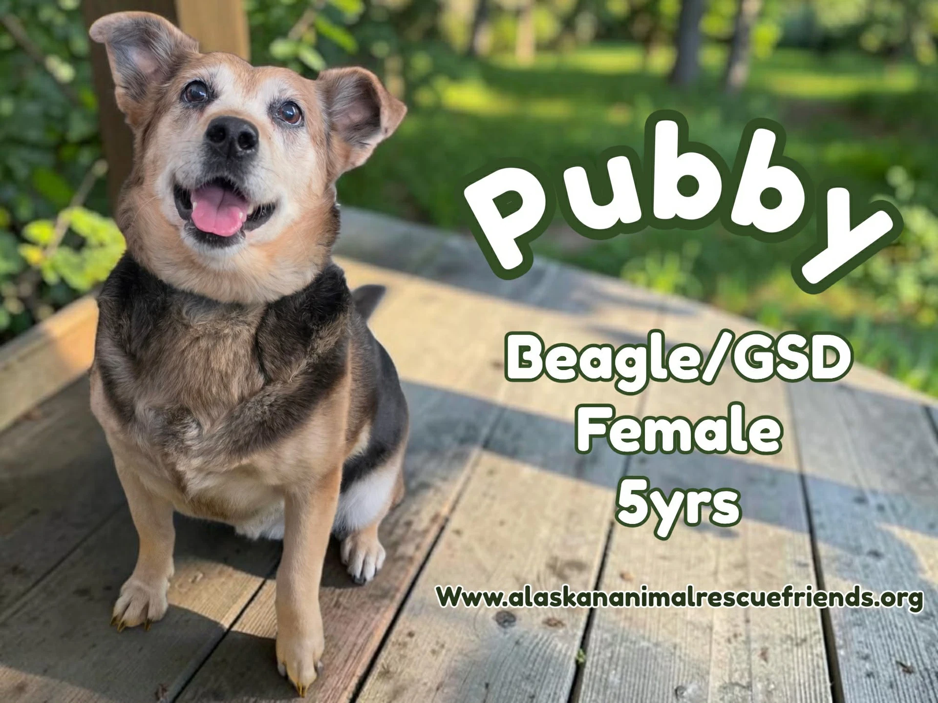 Pubby