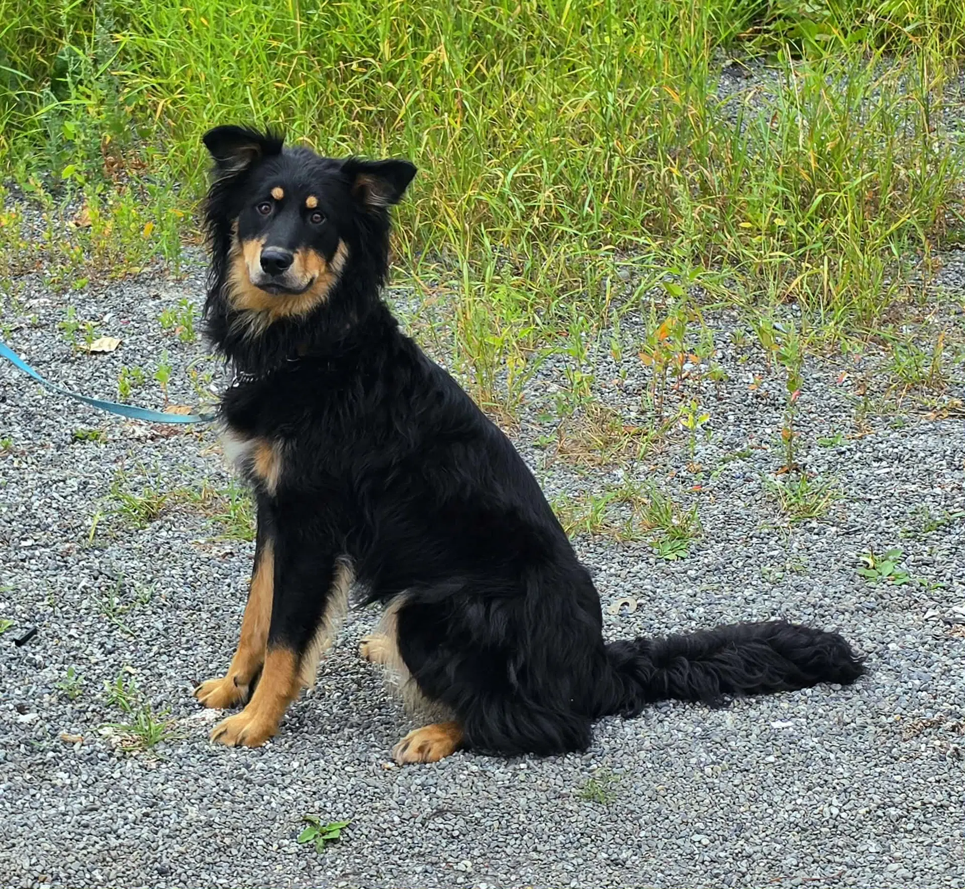 Max image 2