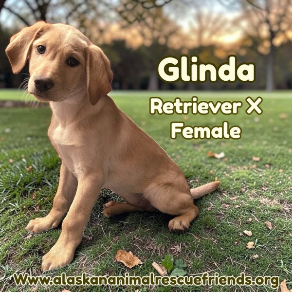 Glinda