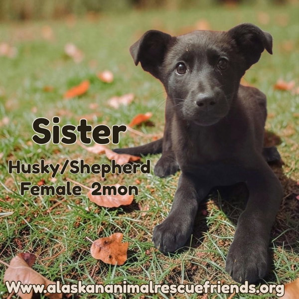 Sister