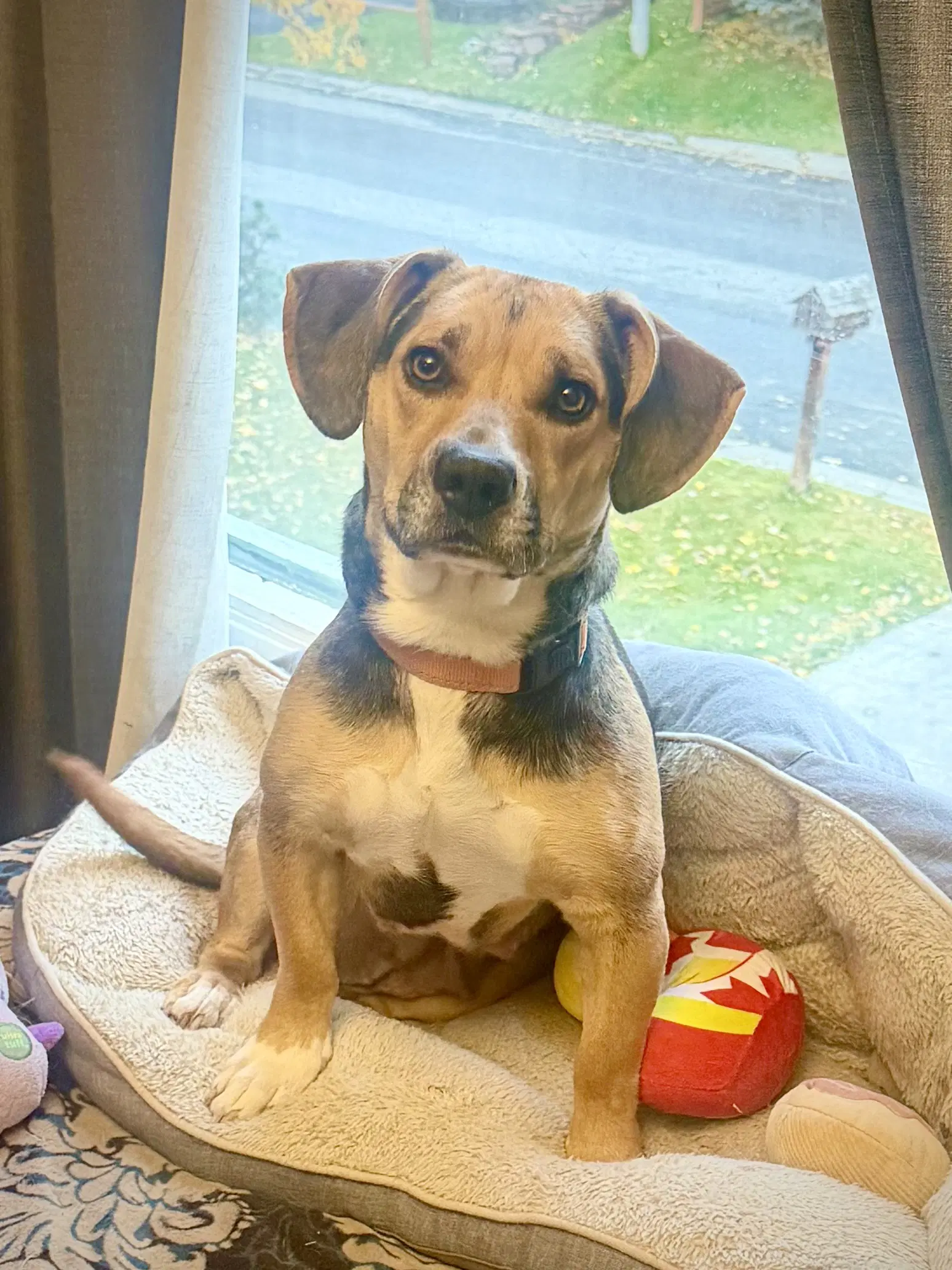 Wiggles image 2