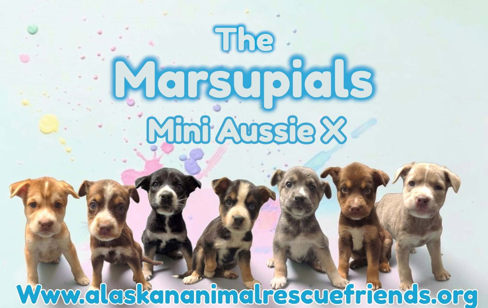 The Marsupuals