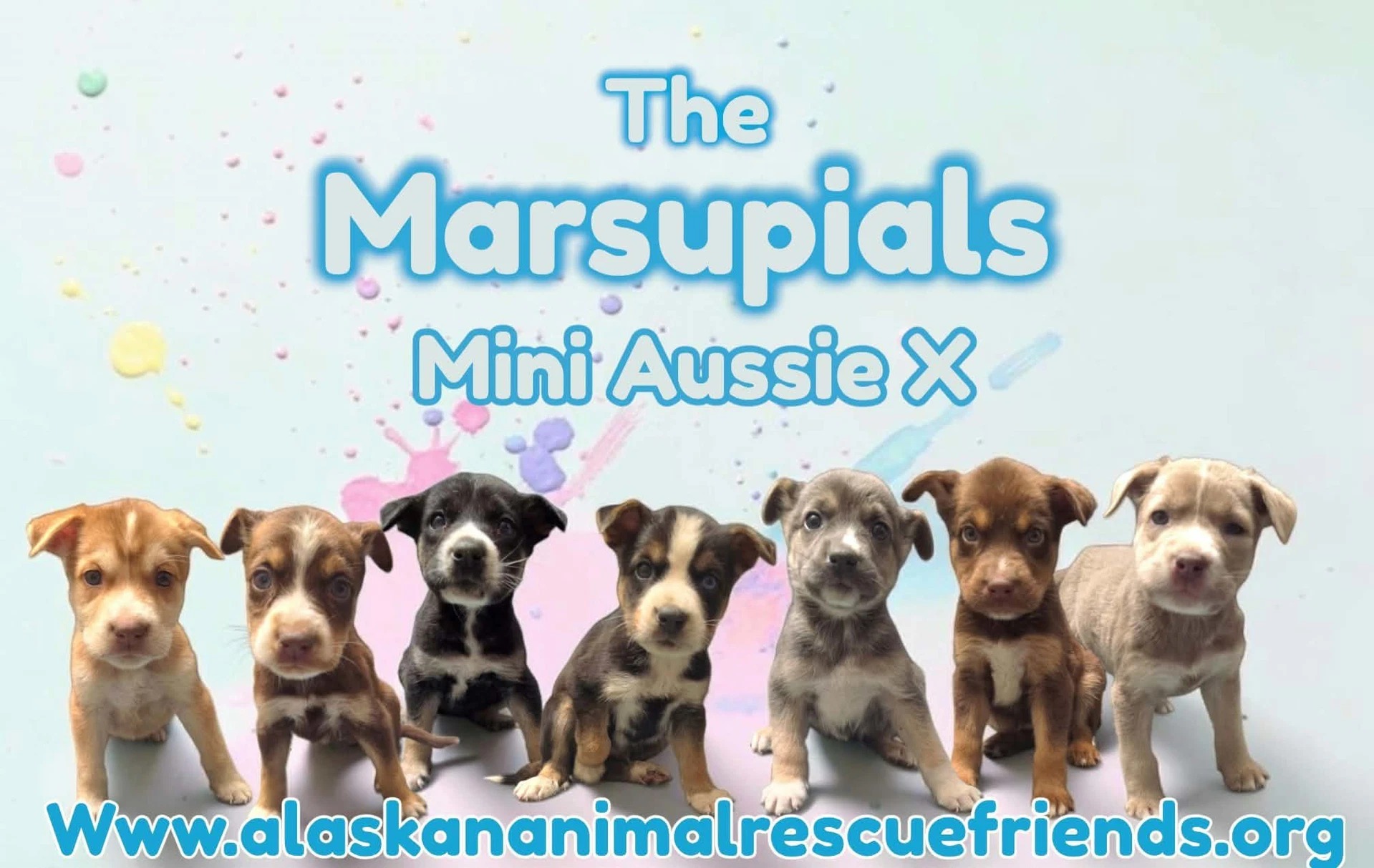 The Marsupuals