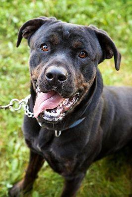 Tyson