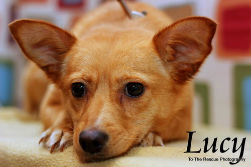 Lucy