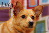 Lucy