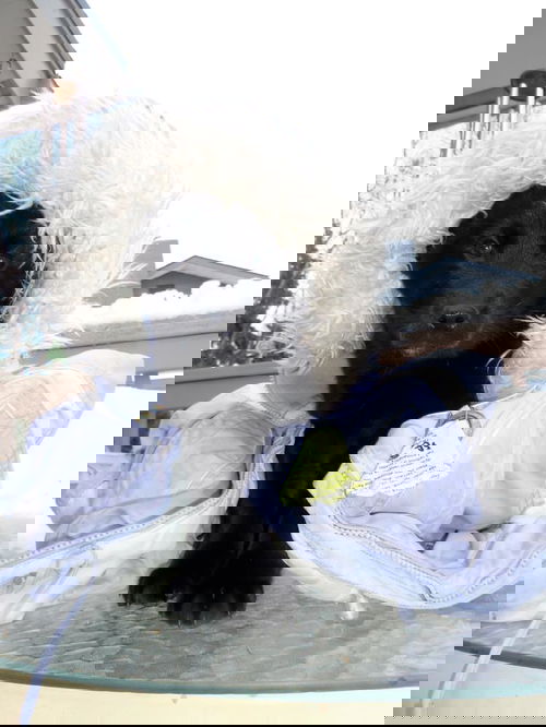 Dec