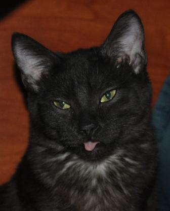 Logan
