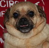 Lucy