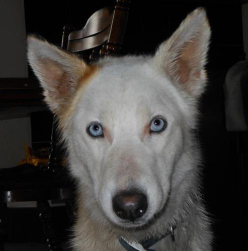 Lucy