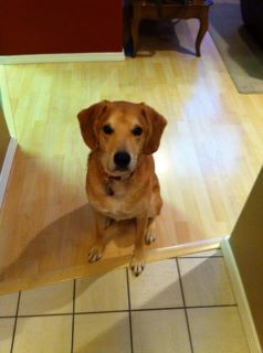 Lucy