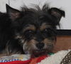 Frankie