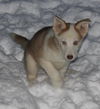 Juneau
