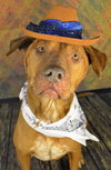 Tyson