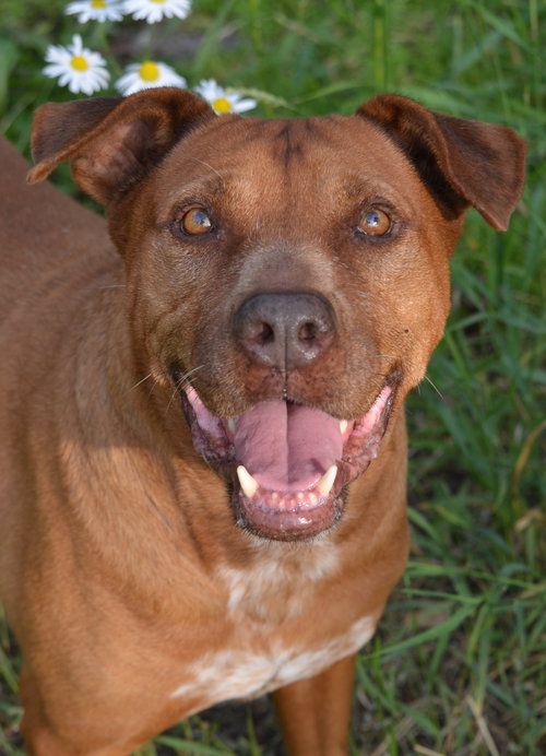 Tyson