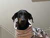 Anna - Photo 9
