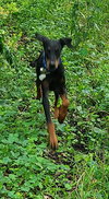Ember - Photo 9