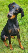 Ember - Photo 3