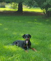 Pearl - Photo 13