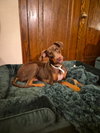 Kinsey - Photo 6