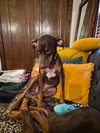 Kinsey - Photo 5