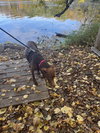 Maggie - Photo 6