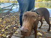 Maggie - Photo 5