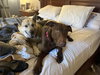 Maggie - Photo 4