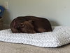 Maggie - Photo 2