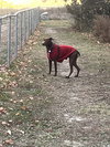 Maggie - Photo 3
