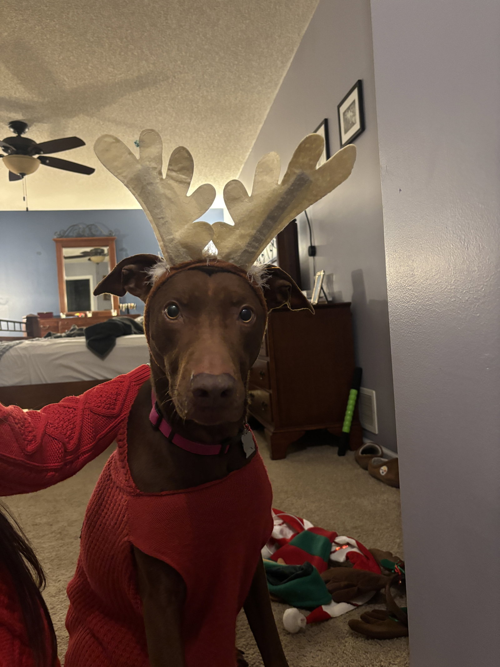 Maggie Image
