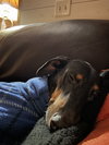 Kaiser - Photo 2